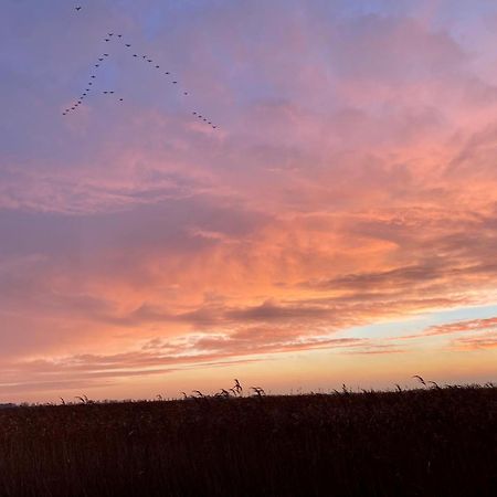 Deichkoje12 Direkt Am Eiderdeich Nur 7 Km Bis Zur Nordsee Und 20 Min Bis Sankt Peter Ording Tönning Kültér fotó